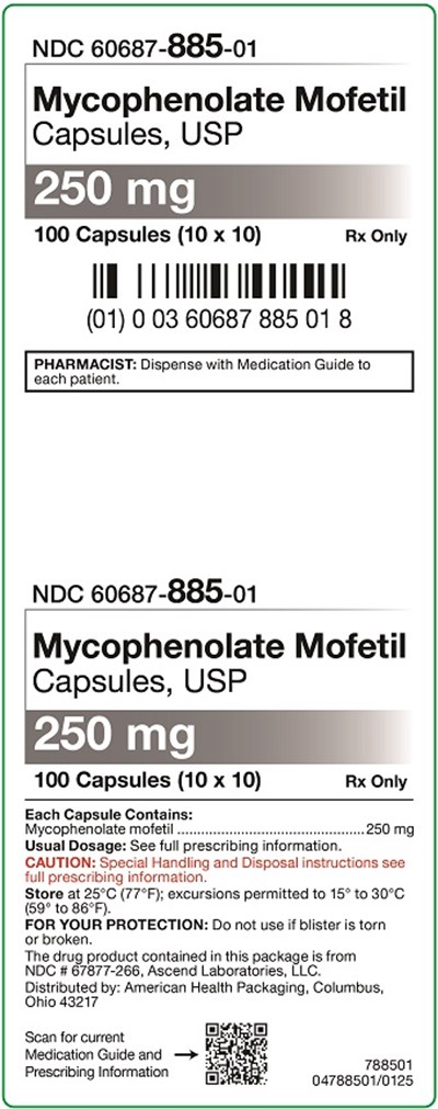 250 mg Mycophenolate Mofetil Capsules Carton.jpg (250 mg Mycophenolate Mofetil Capsules Carton)